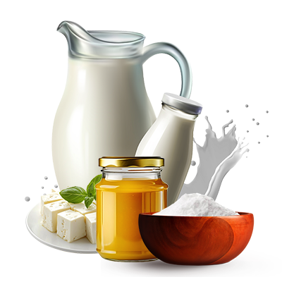 dairy products